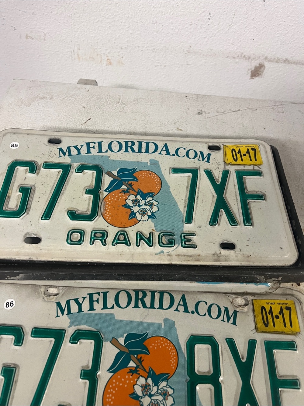 Florida item 85.  Orange Graphic License Plate - Green & Orange